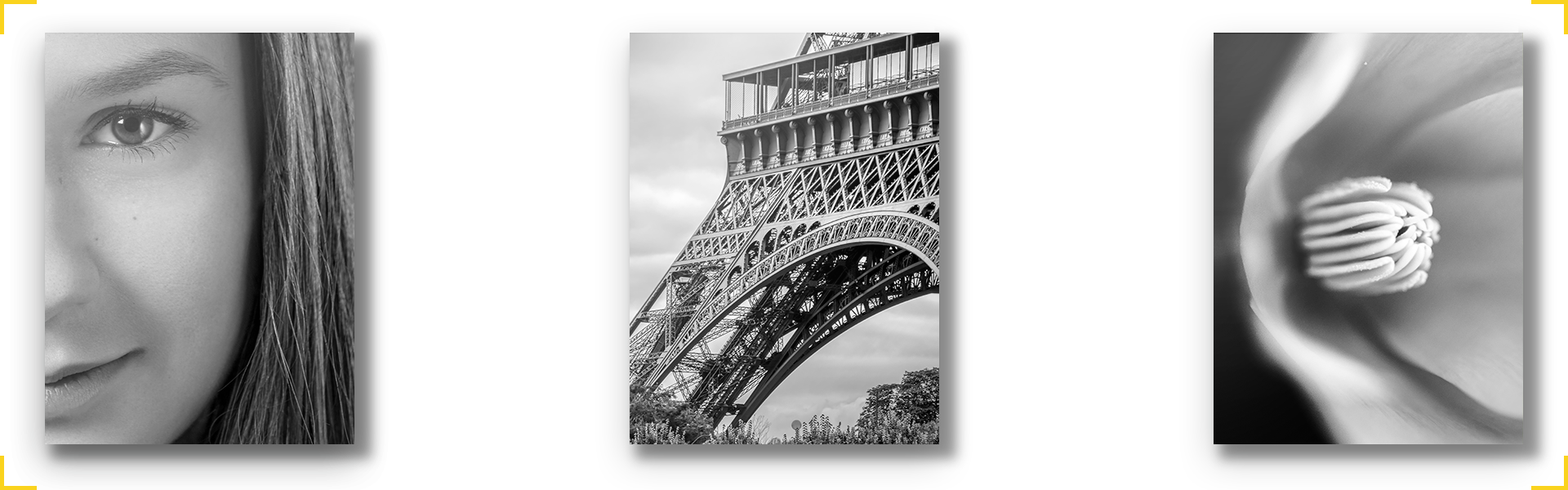 Le Noir & Blanc